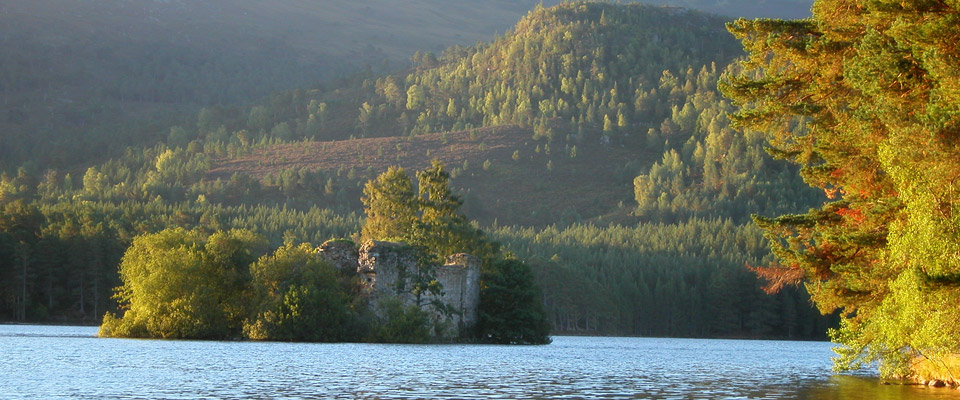 Shaw Castle
